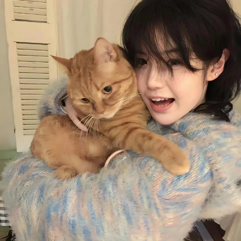 维和女警：暴力安全区