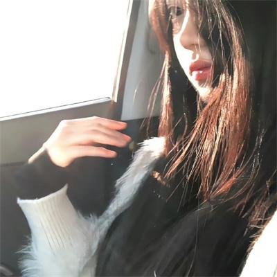 中央公园第二季